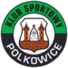 包尔科维切